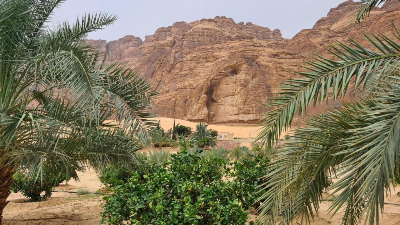 الجوهرة Diamond Plus Vila Al Ula Exterior foto