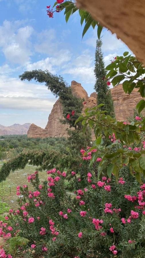 الجوهرة Diamond Plus Vila Al Ula Exterior foto