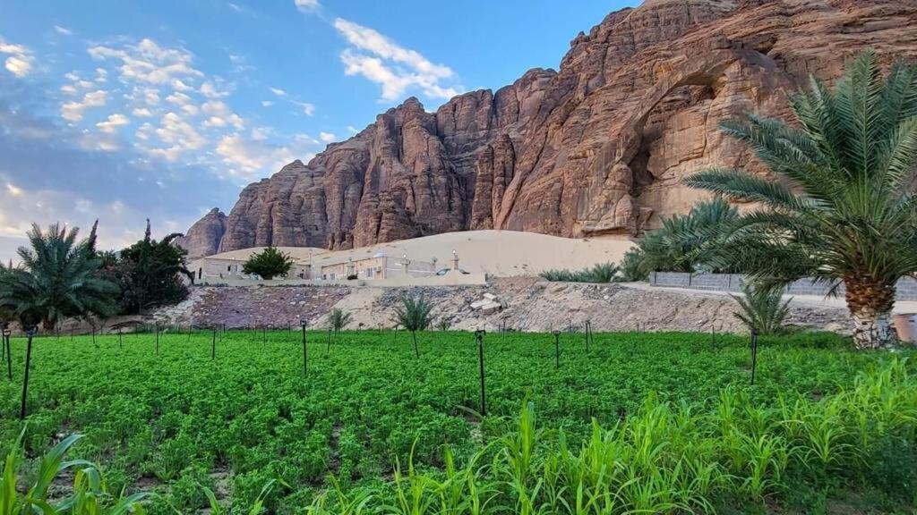 الجوهرة Diamond Plus Vila Al Ula Exterior foto